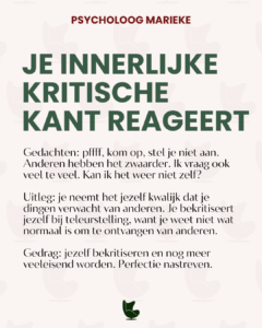 schematherapie trigger